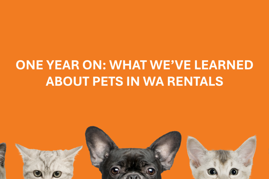 Pets in WA Rentals